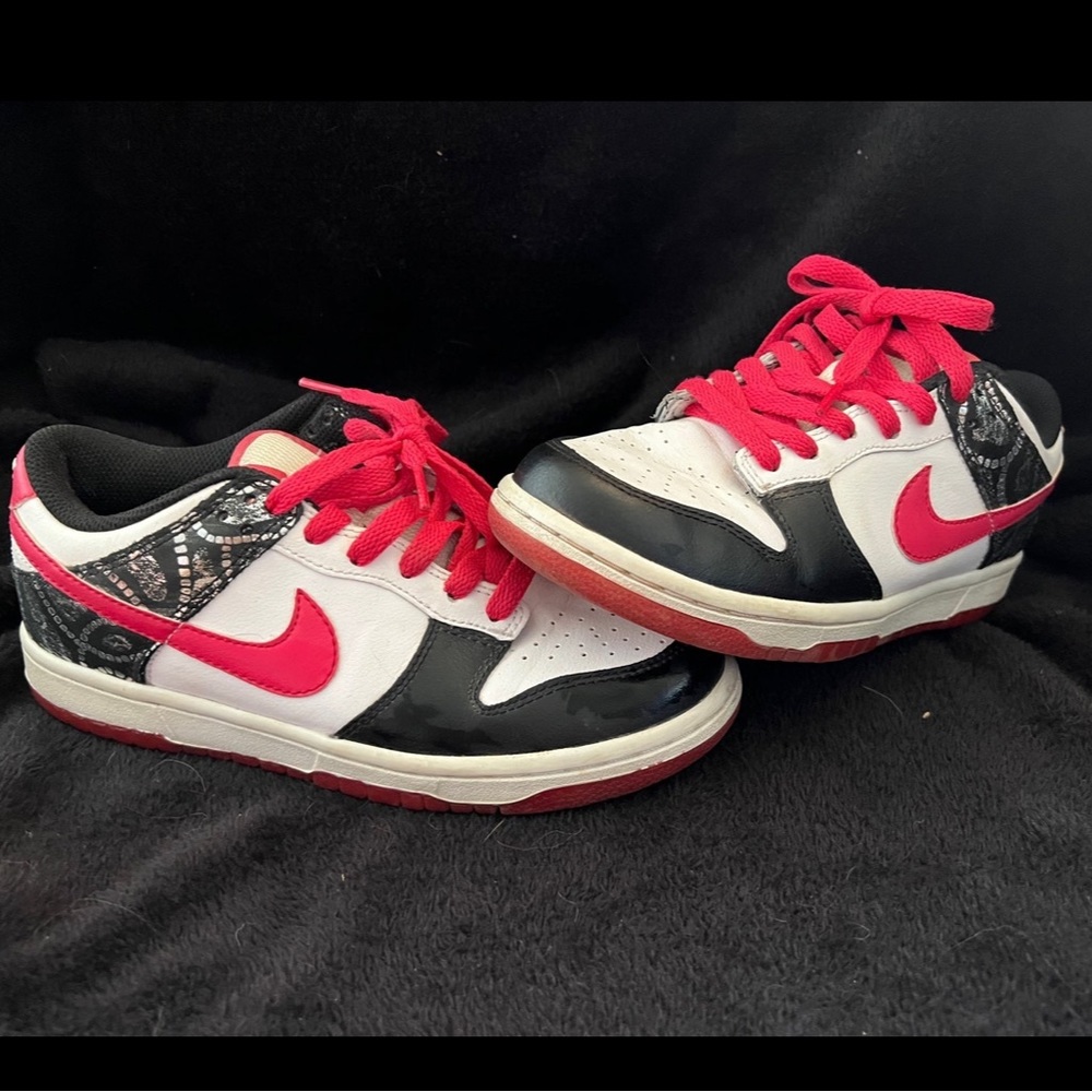 Nike Dunk 6.0
